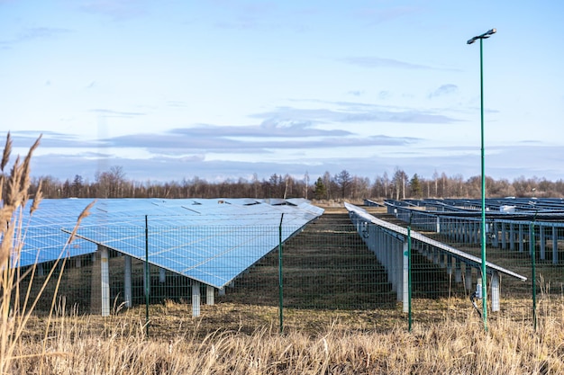 electric-farm-with-panels-producing-clean-ecologic-energy_169016-17846 electric-farm-with-panels-producing-clean-ecologic-energy_169016-17846