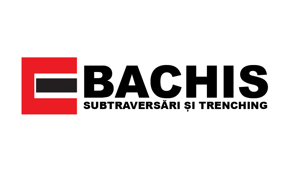 BACHIS SRL